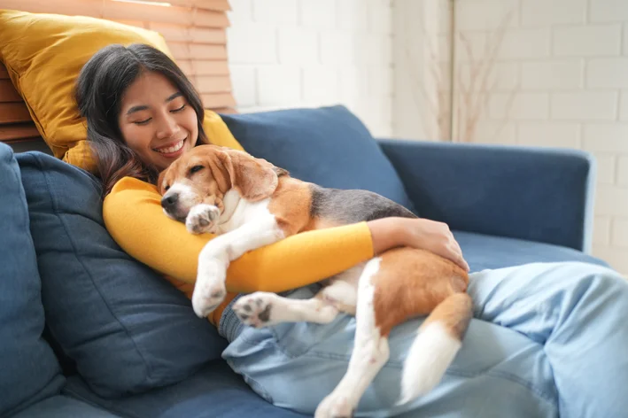 cachorro com medo de fogos com o tutor no sofa