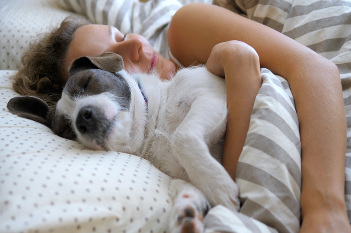 cachorro dormindo na cama com o tutor