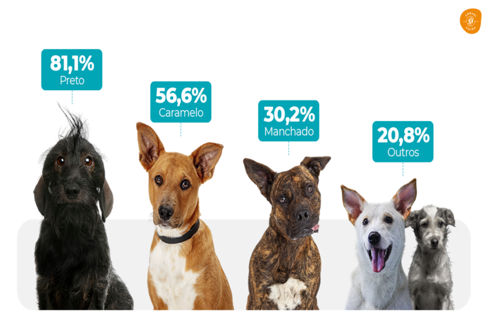 gráfico cobasi cuida com diversos cães.