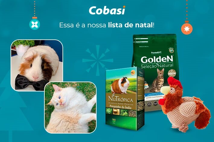 whishlist natal godofredo Wishlist de Natal 2023 