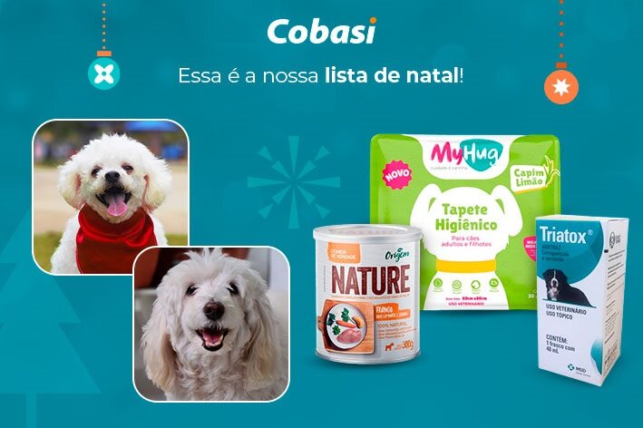 whishlist natal max e bob Wishlist de Natal 2023 