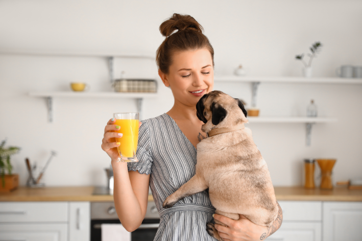 cachorro não pode tomar suco de laranja