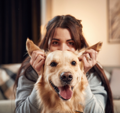 pode dar própolis para cães