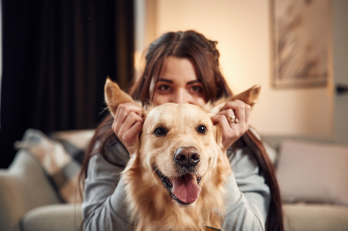 pode dar própolis para cães