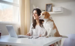 Mulher usa o computador com cachorro da raça beagle ao lado