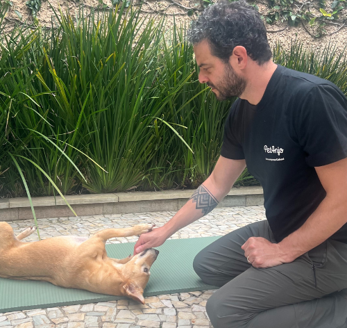 como ensinar o comando rolar para cachorro