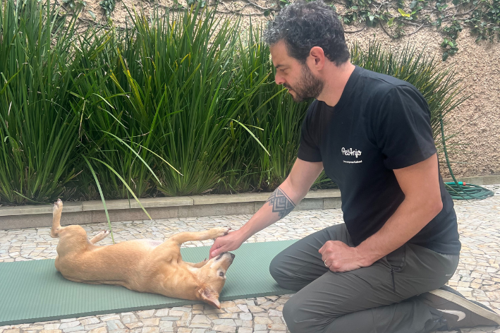 como ensinar o comando rolar para cachorro