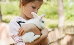 menina segurando o seu coelho de estimação