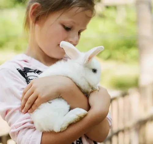 menina segurando o seu coelho de estimação