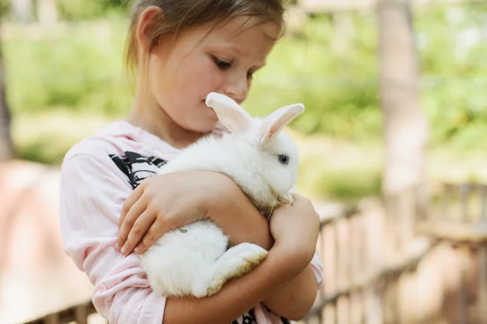 menina segurando o seu coelho de estimação