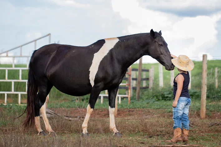 mangalarga e um menino no curral