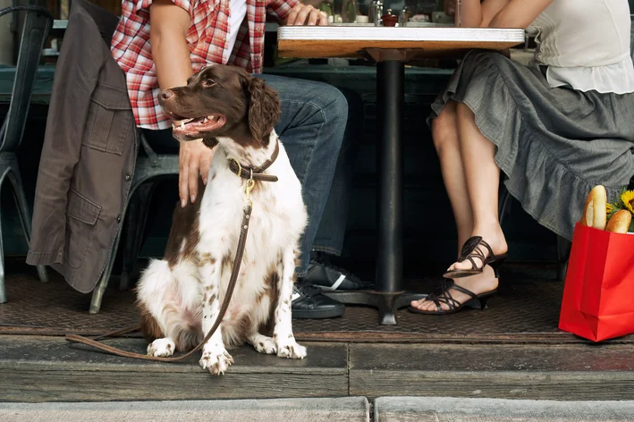 casal com cão em um restaurantes pet friendly