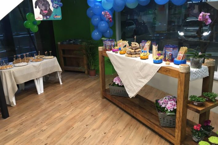 decoração para aniversário pet