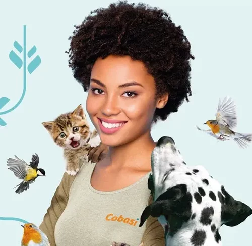 mundo pet