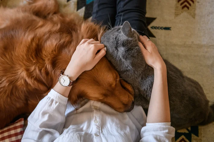 mulher abraçando cachorro e gato