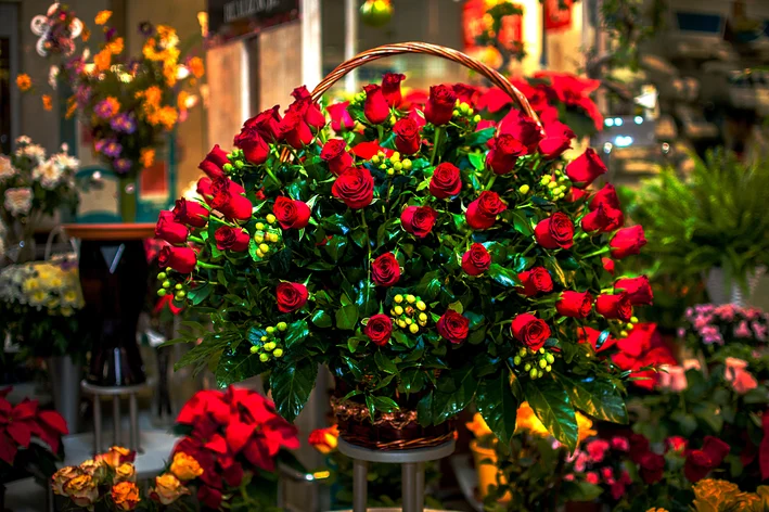 flor para dar de presente 