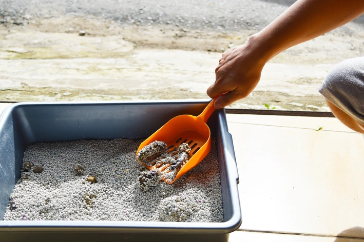 Pessoa usando pá laranja para mexer em caixa de areia para gatos