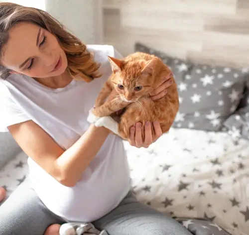 Mulher grávida segurando um gato laranja em um ambiente de quarto, com decoração neutra e cama com lençóis de estrelas. Imagem transmite amor e carinho entre mulher e animal de estimação