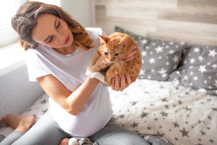 imagem de Toxoplasmose em gatos: o que é, causas, riscos, tratamento e como prevenir