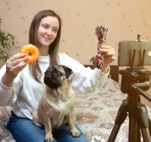 pet influencer