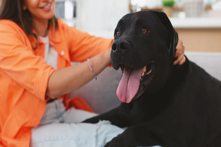 Mãe de cachorro também é mãe