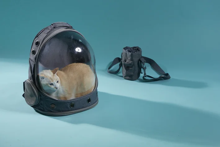 cobasi mochila para gato e cachorro