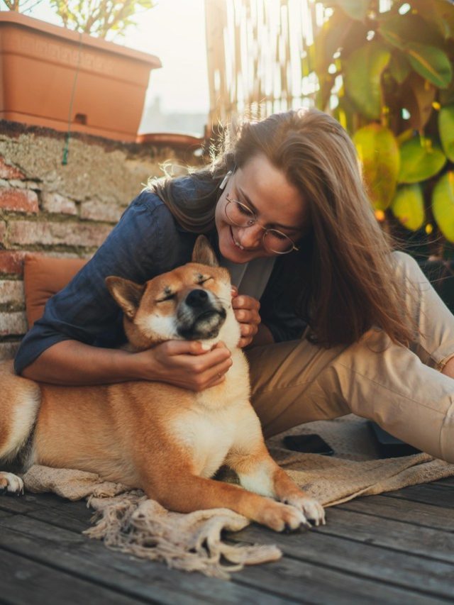 9 vantagens de ter um cachorro