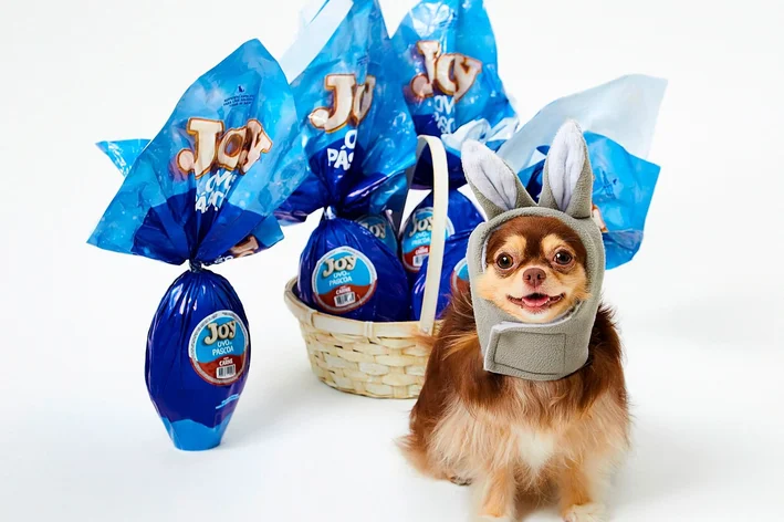 ovo de páscoa para cachorro sem chocolate