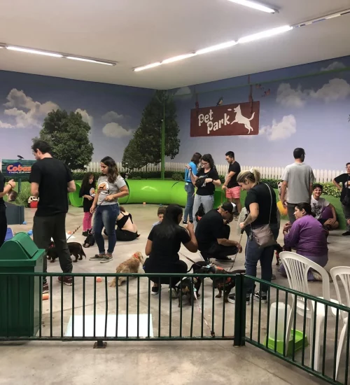 Encontro de cães: Cobasi cria espaços para promover eventos 7