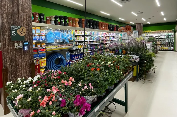 mesa flores e plantas