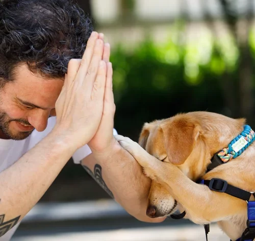 Adestramento de cães na Cobasi: especialista explica tudo 4