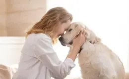 cachorro para terapia