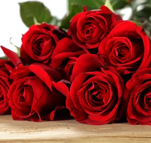 buque-rosas-vermelhas para namorada