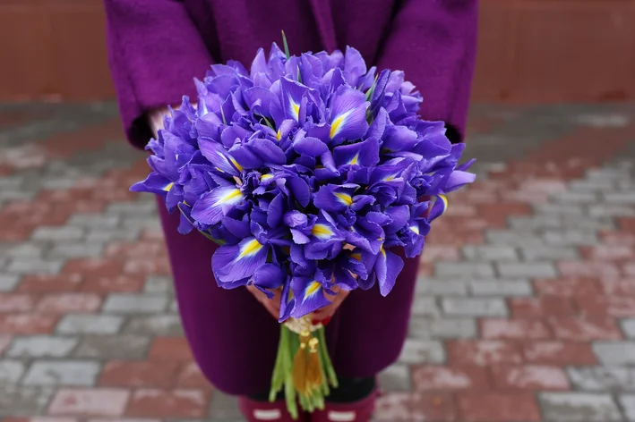 buquê de violetas 