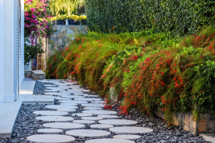 plantas para canteiro de muro externo