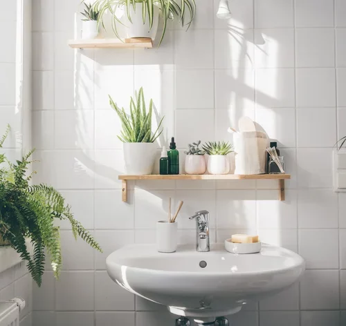 plantas para banheiro