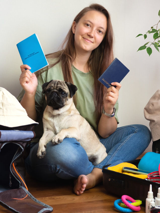 Cachorro em avião: dicas e regras para o voo