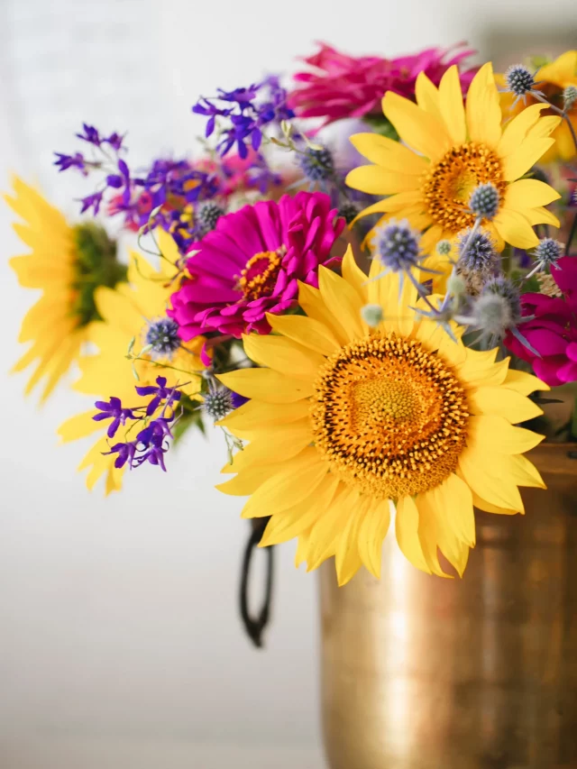 Flores de agosto para decorar a casa!