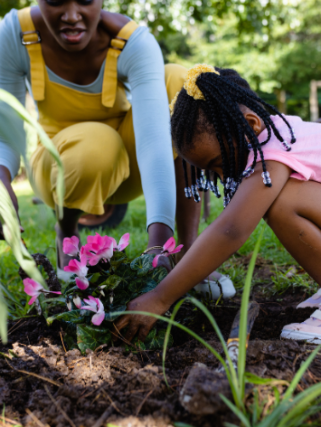 9 Flores para plantar na primavera