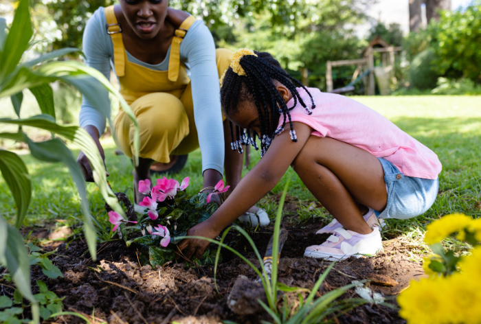 flores-para-plantar-na-primavera (3)