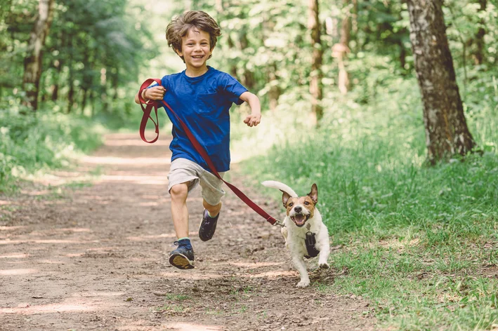 cachorro para criança