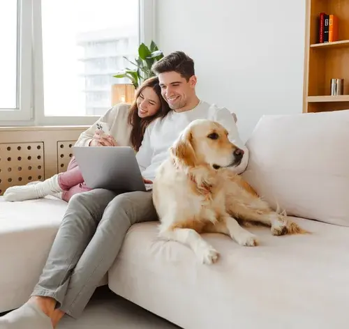 cobasi loja online confiável para pets
