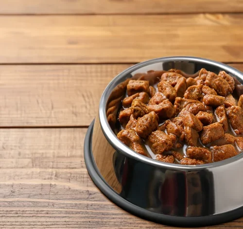 7 benefícios dos alimentos úmidos para cães e gatos 2