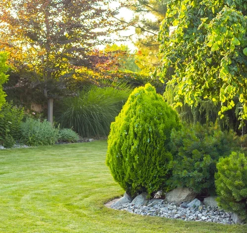árvores para jardim