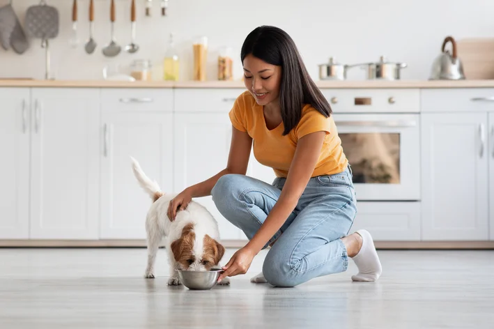 cachorro pode comer pinha fruta