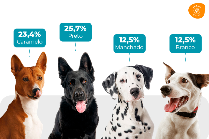 gráfico cachorros devolvidos por cor