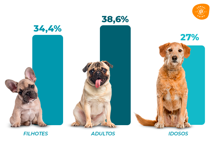 cachorros abandonados por idade