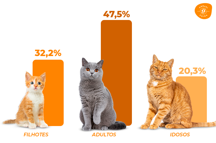 gráfico gato devolvido por idade