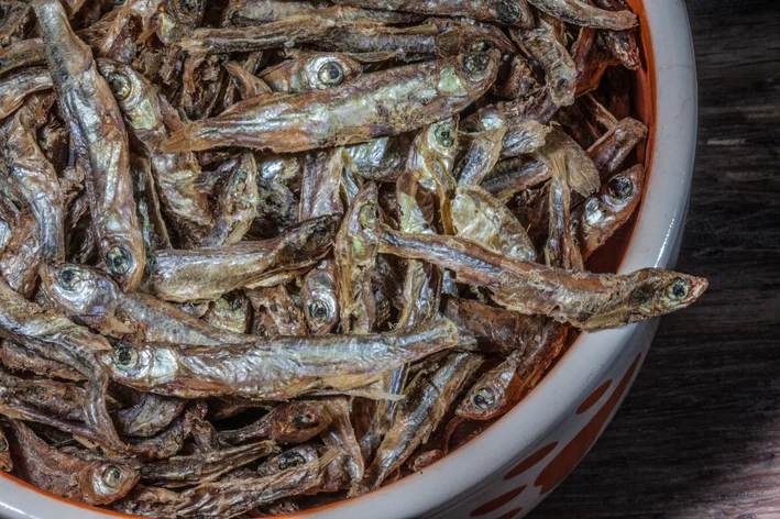 cachorro pode comer sardinha enlatada