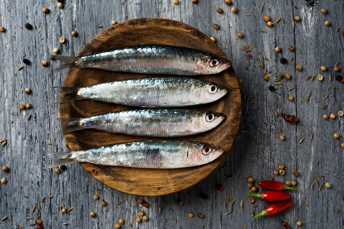 cachorro pode comer sardinha